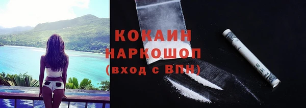 молекула духа Мегион