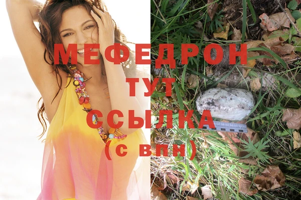 молекула духа Мегион