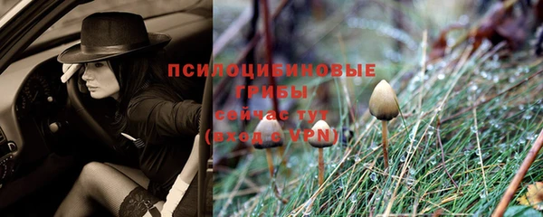 молекула духа Мегион