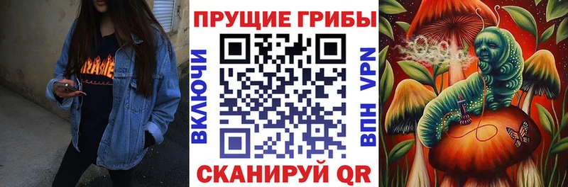 хочу Белоярский Галлюциногенные грибы Psilocybe